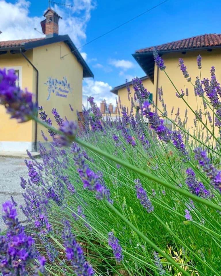 Cascina Domina Hotel Gassino Torinese Exterior photo